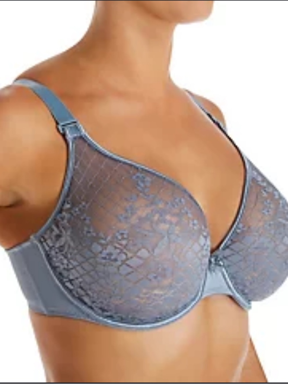 French Brand Empreinte. Melody Underwire Lace Bra - Steel Blue